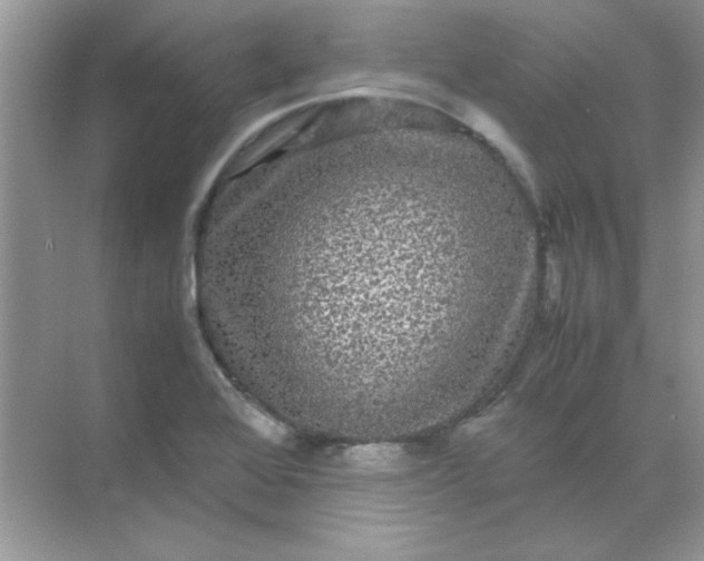 X0000071901368200607212005