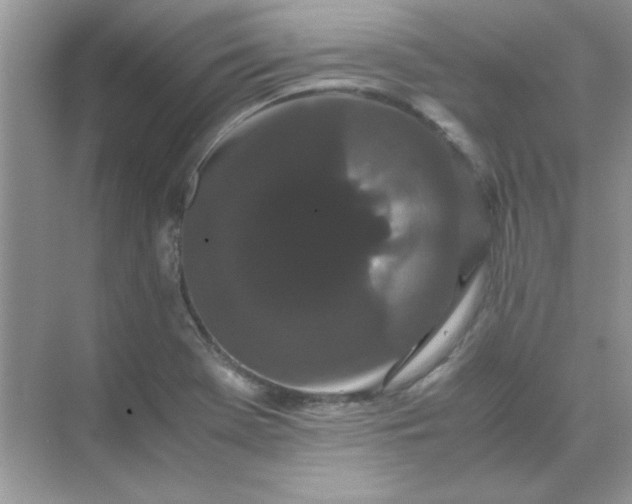 X0000071901369200607212005