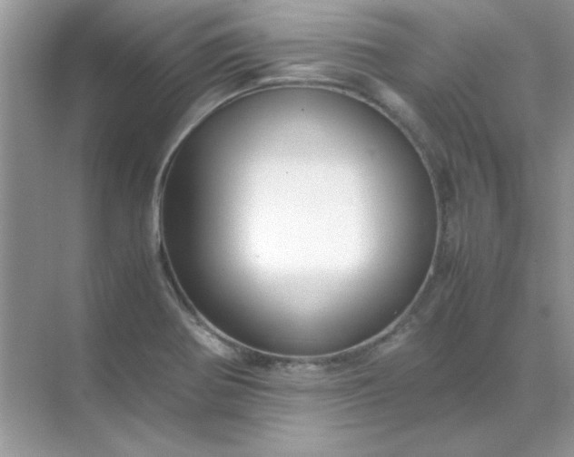 X0000071901370200607212005