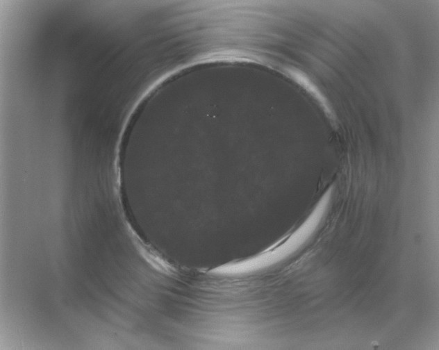 X0000071901372200607212005