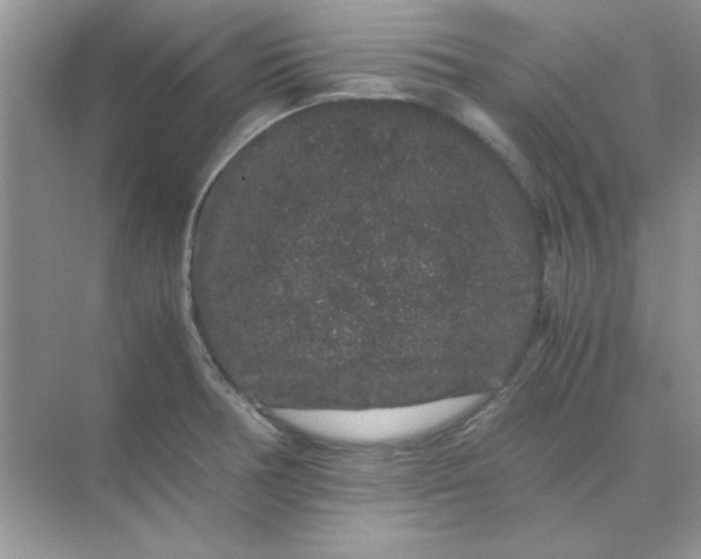 X0000071901378200607212005