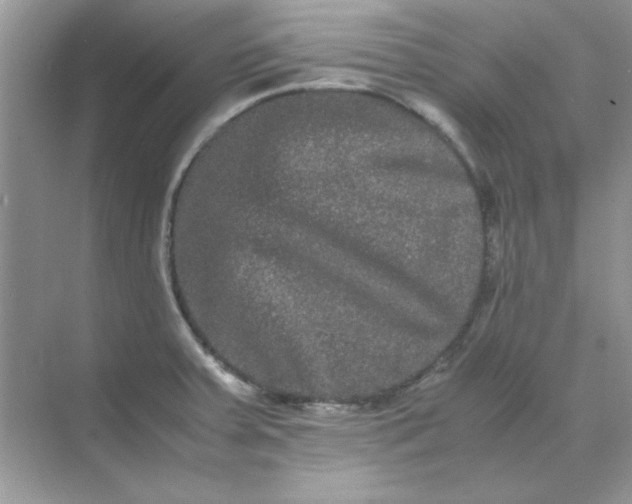 X0000071901379200607212005