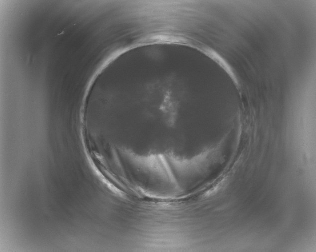 X0000071901381200607212005