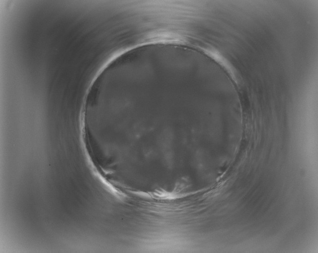 X0000071901383200607212005