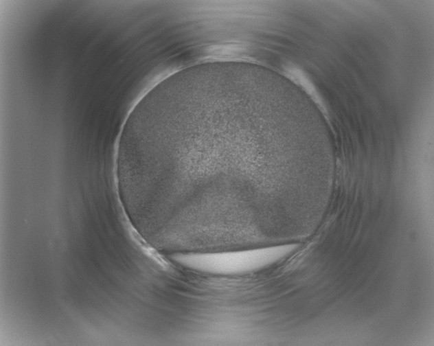 X0000071901386200607212005