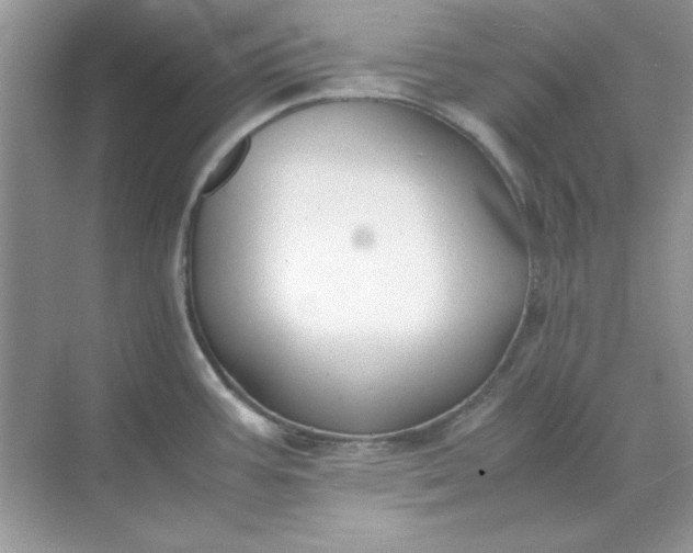 X0000071901387200607212005