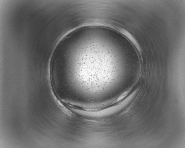 X0000071901388200607212005