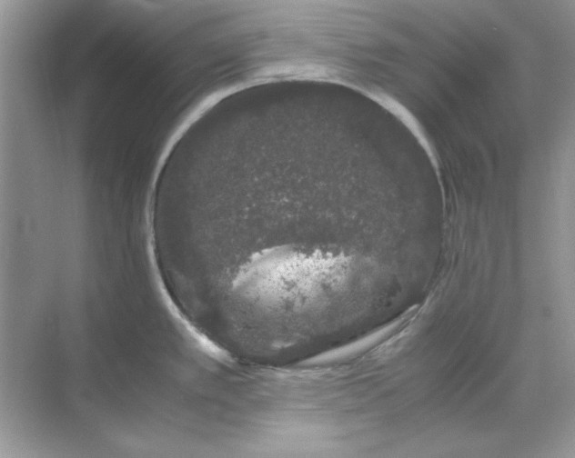 X0000071901389200607212005