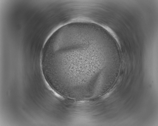 X0000071901390200607212005