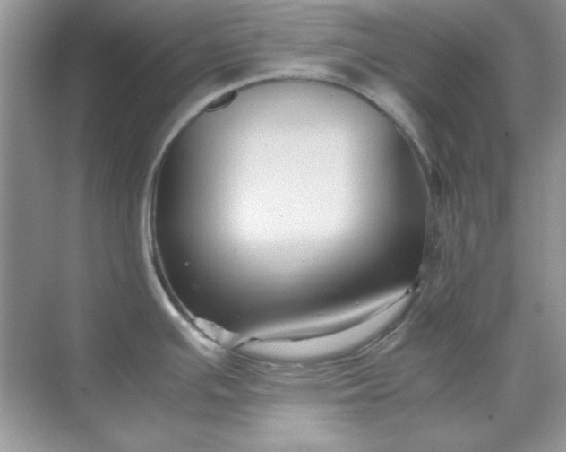 X0000071901391200607212005