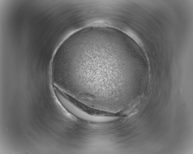 X0000071901392200607212005