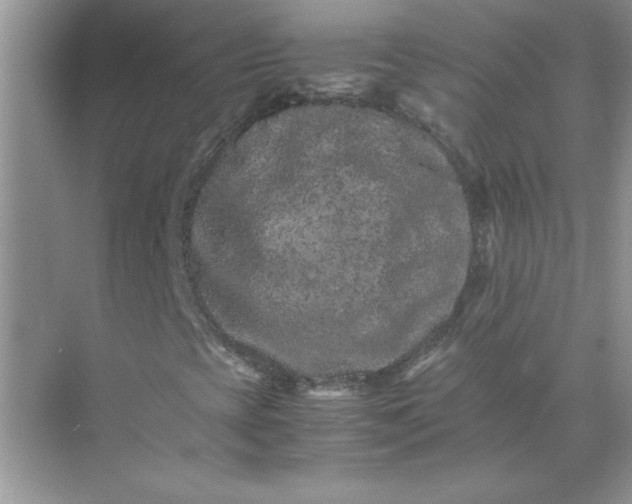 X0000071901393200607212004