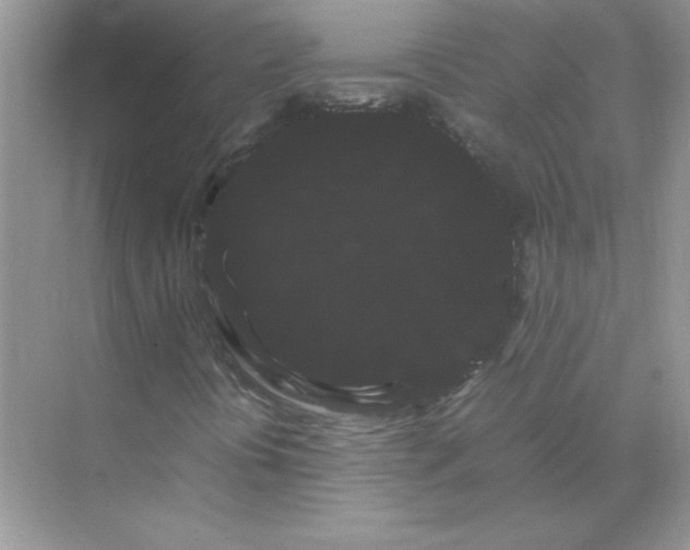 X0000071901394200607212004