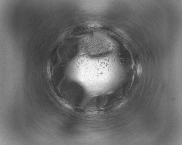 X0000071901396200607212004