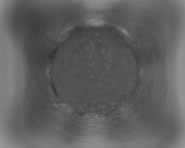 X0000071901397200607212004