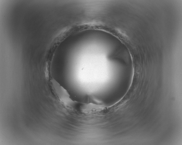 X0000071901398200607212004