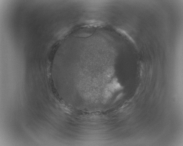 X0000071901399200607212004