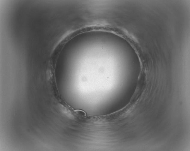 X0000071901400200607212004