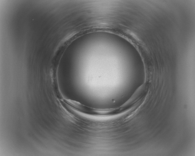 X0000071901402200607212004