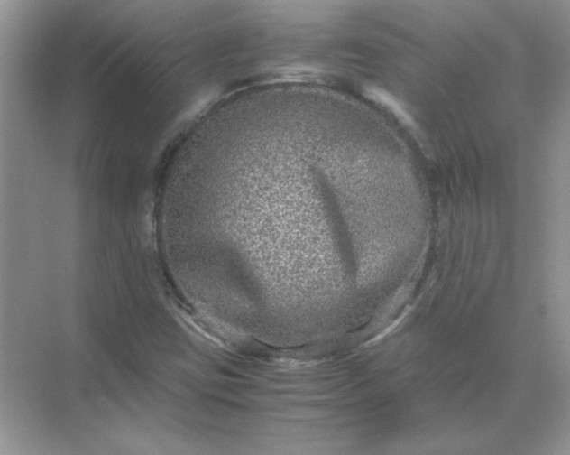 X0000071901403200607212004