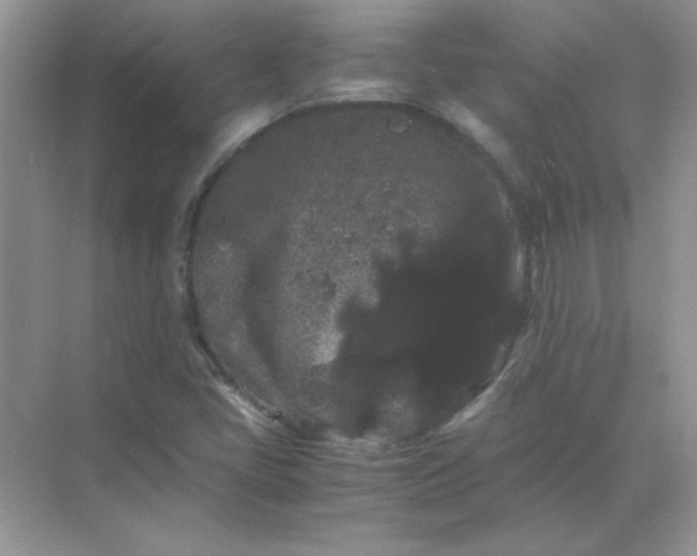 X0000071901405200607212004