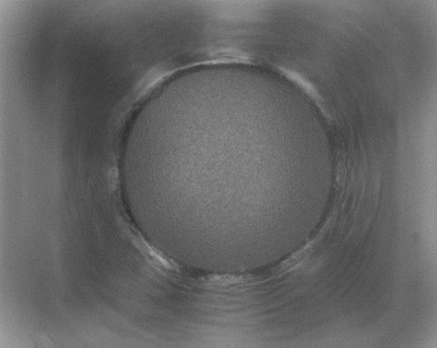 X0000071901407200607212004