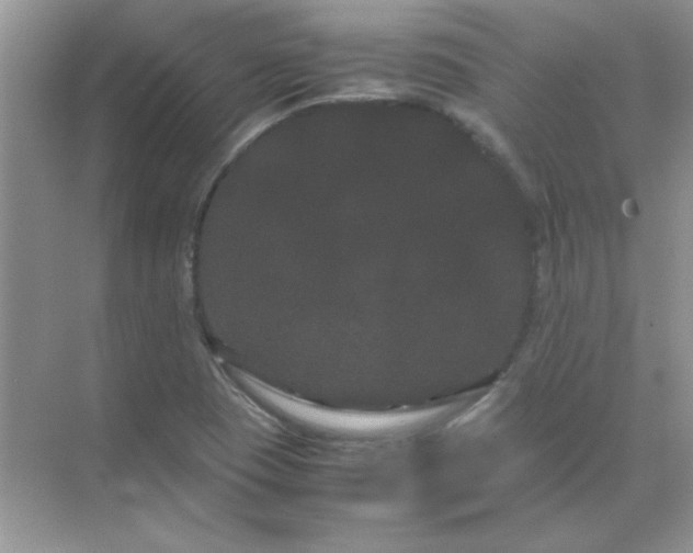 X0000071901409200607212004