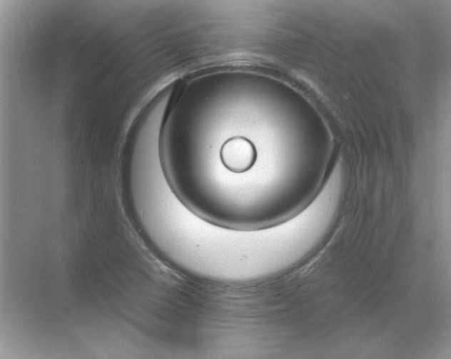 X0000071901410200607212004