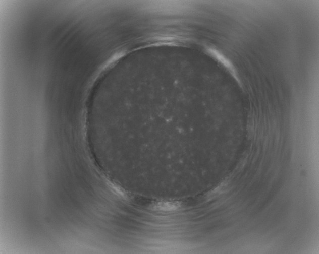 X0000071901411200607212004