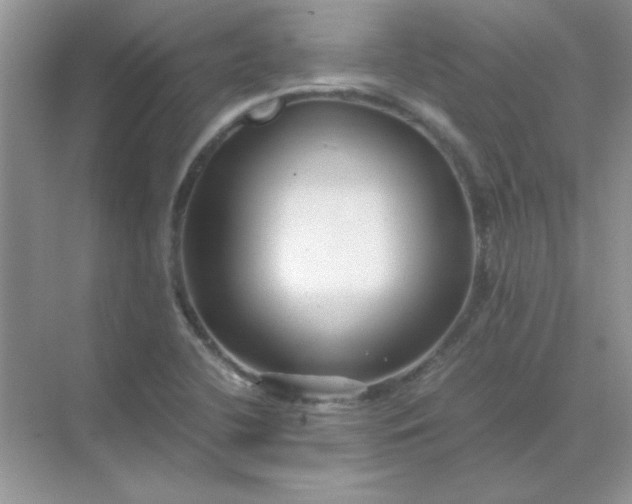 X0000071901412200607212004