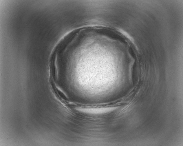 X0000071901415200607212004