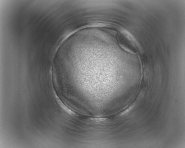 X0000071901417200607212004