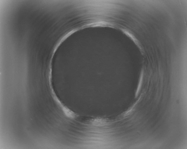 X0000071901418200607212004