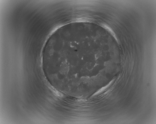 X0000071901419200607212004