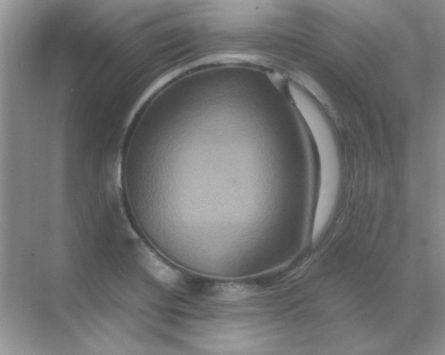 X0000071901420200607212004