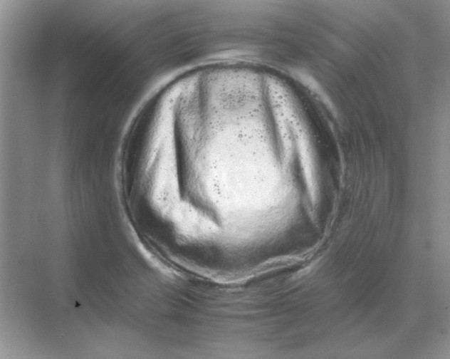 X0000071901421200607212004