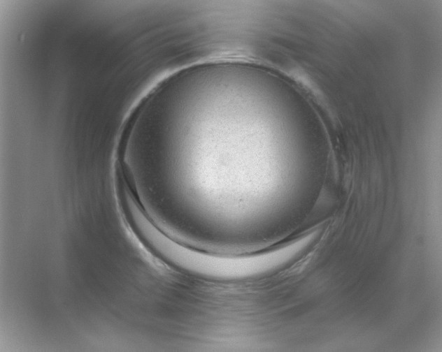 X0000071901422200607212004