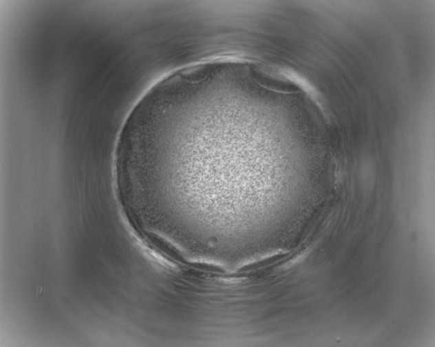 X0000071901423200607212005