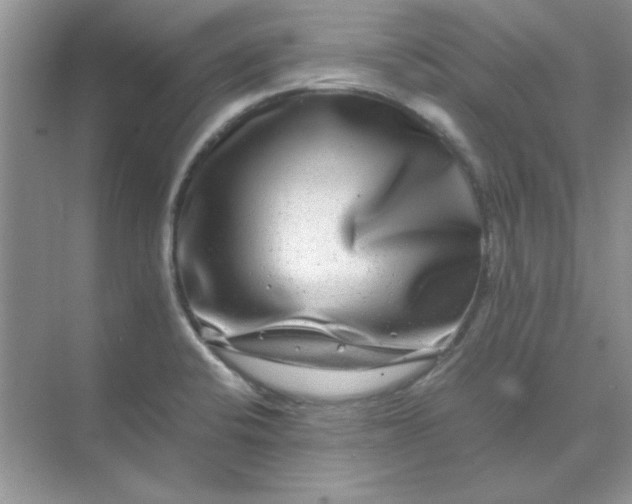 X0000071901424200607212005