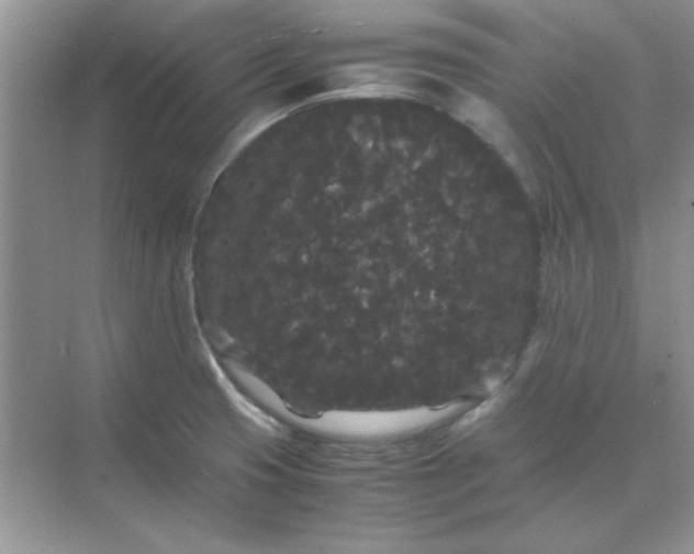 X0000071901425200607212005