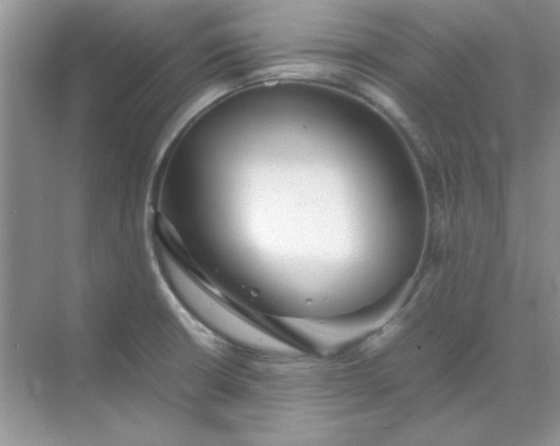 X0000071901426200607212005