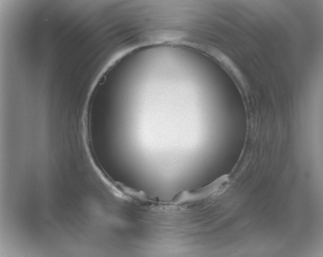 X0000071901432200607212005