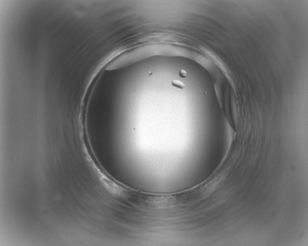 X0000071901434200607212005