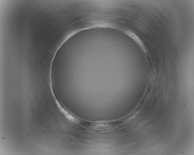 X0000071901439200607212005