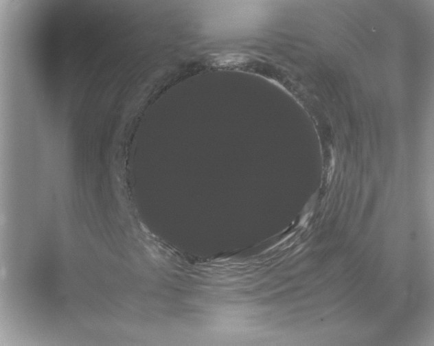 X0000071901441200607212004