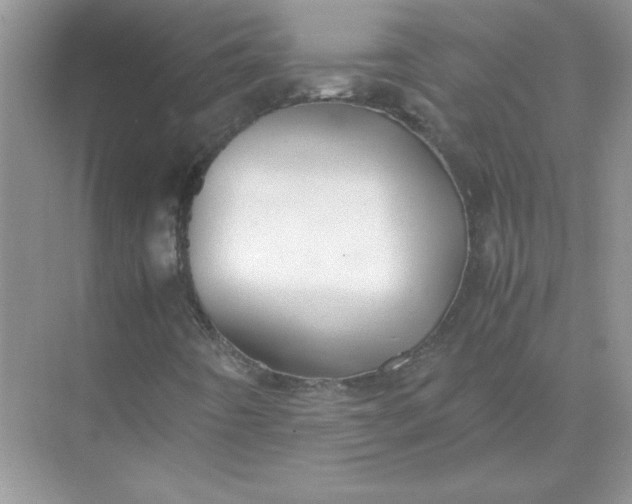 X0000071901442200607212004