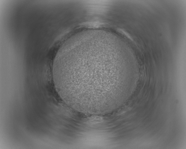 X0000071901446200607212004