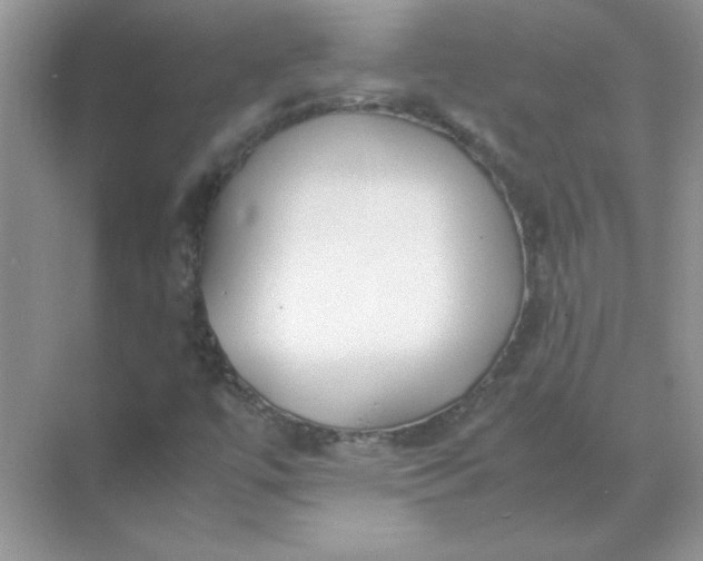 X0000071901447200607212004