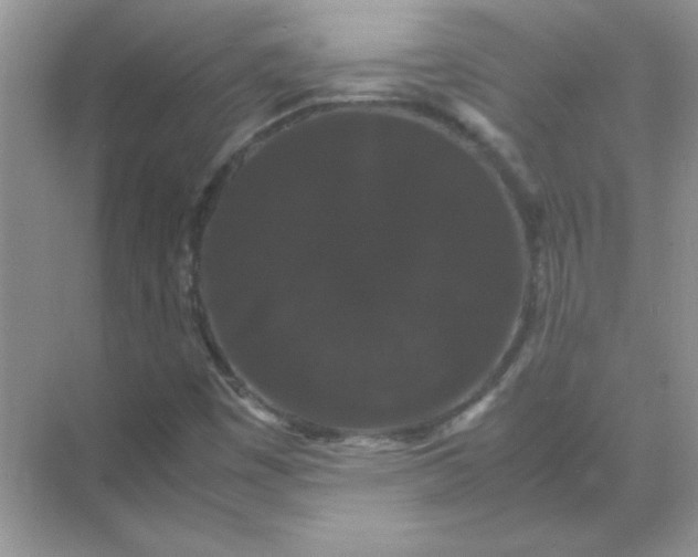 X0000071901449200607212004