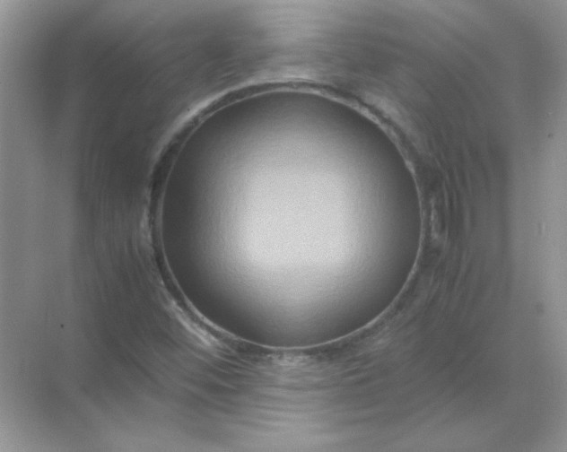 X0000071901452200607212004